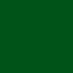 #078 Foilage green
