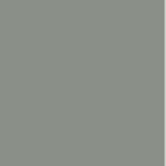 #755 Platinum grey